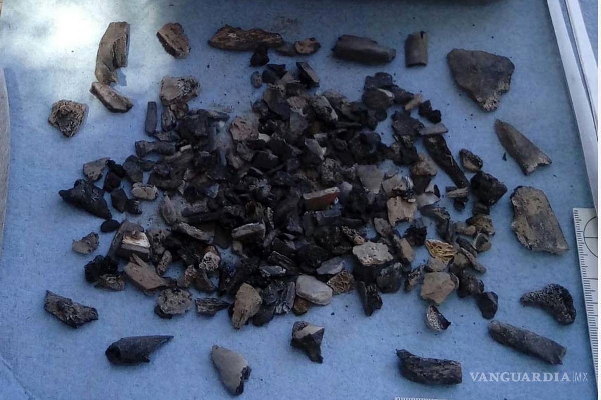 Hallan más restos óseos en ejido de San Pedro