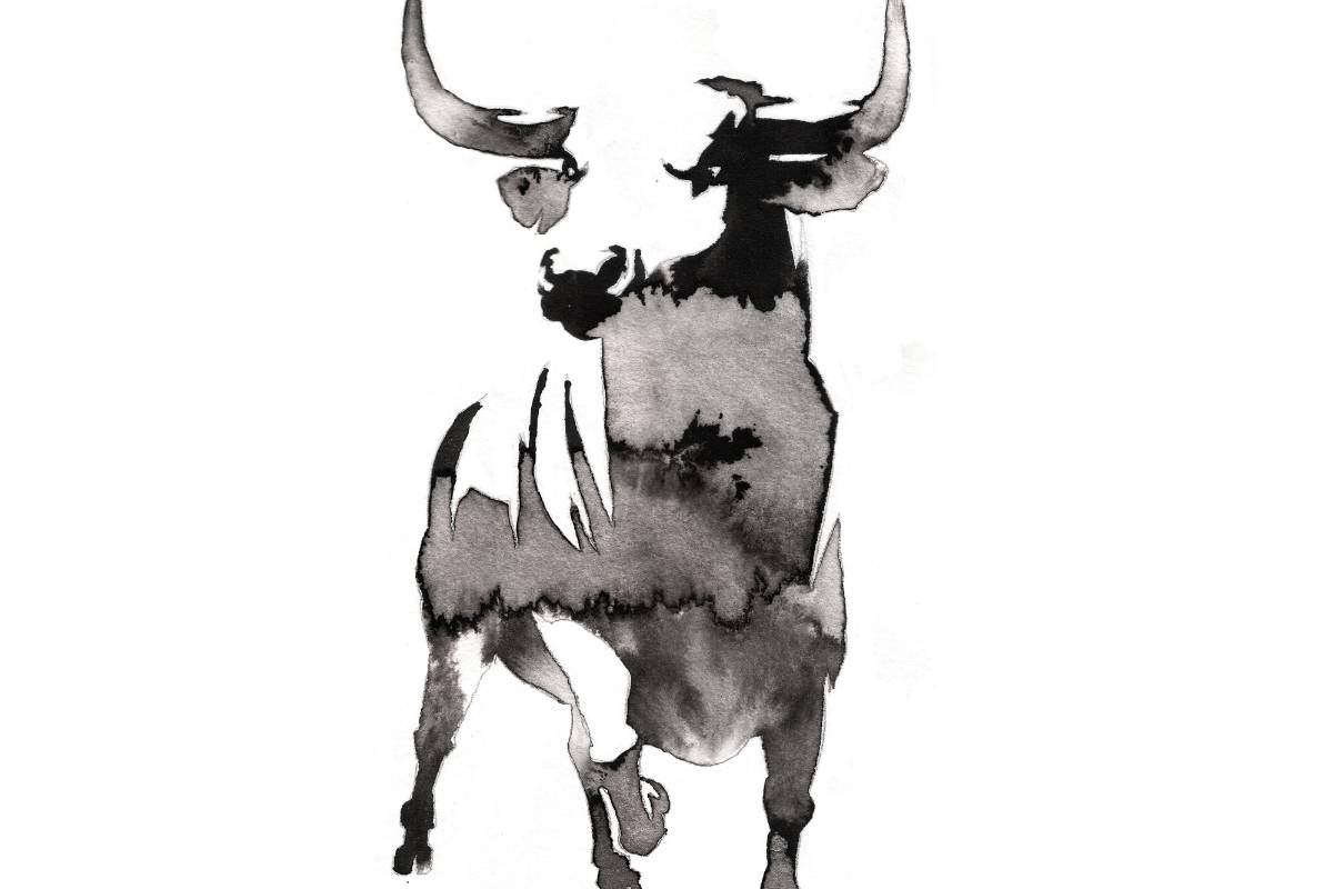 ‘Nunca rechacé las corridas de toros’: Miguel Ángel Riquelme