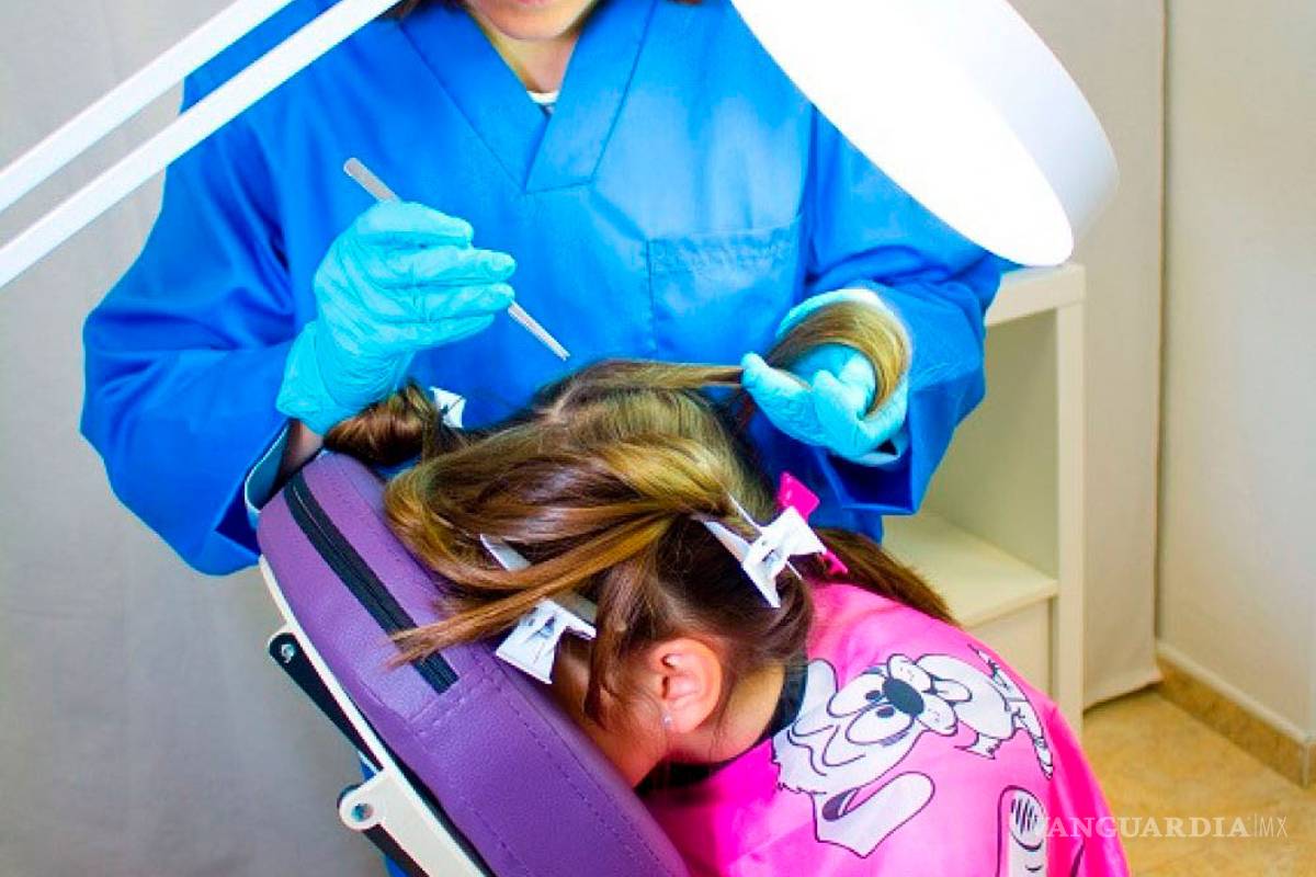 Se eleva la presencia de piojos en Saltillo, contagio crece en escuelas