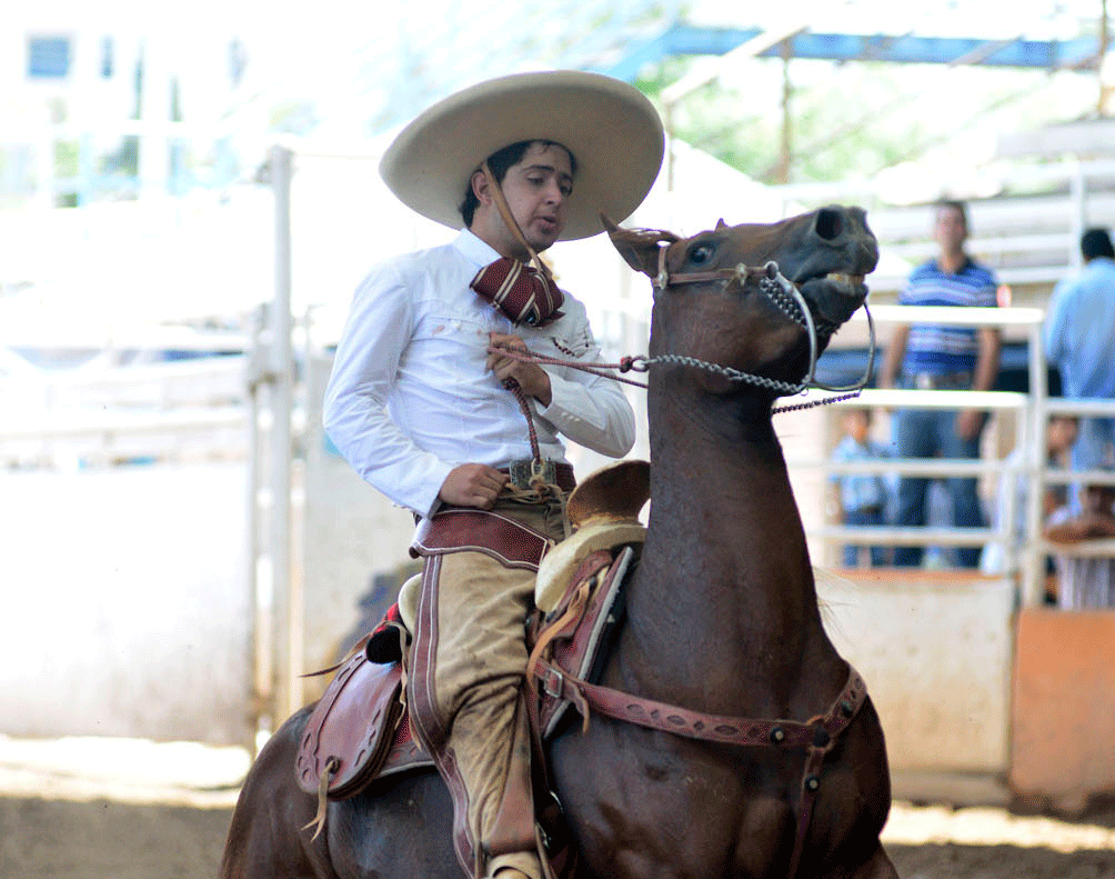 Alistan Torneo Nacional Charro de Aniversario
