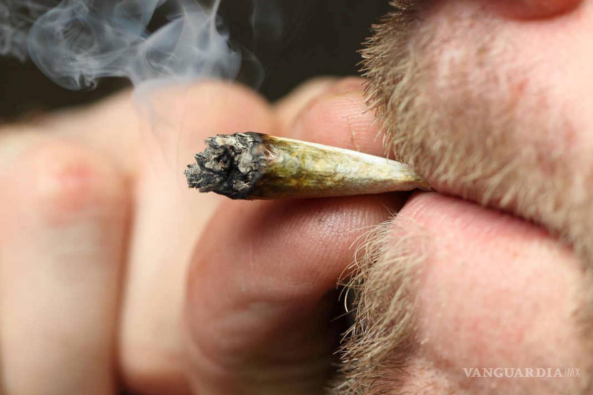 Jóvenes empresarios de la Laguna opinan sobre la legalización de la mariguana