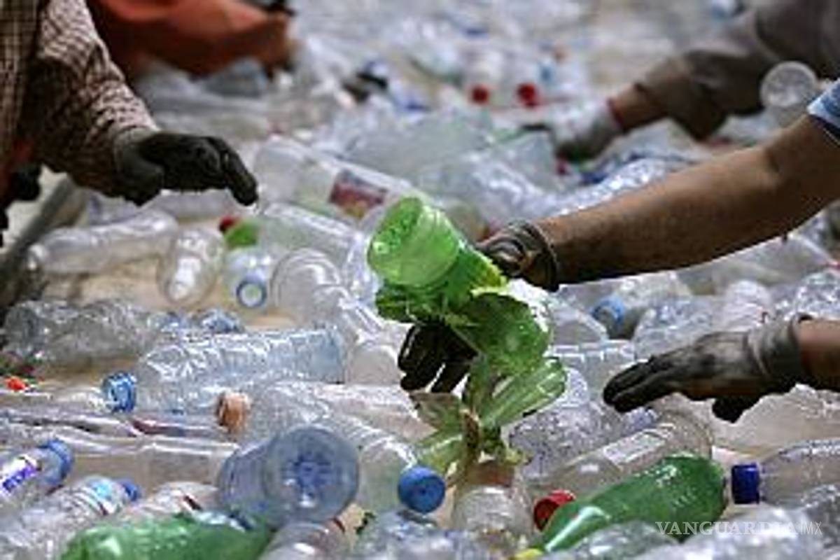 Investigadores de UNAM hallan microorganismos que degradan plástico