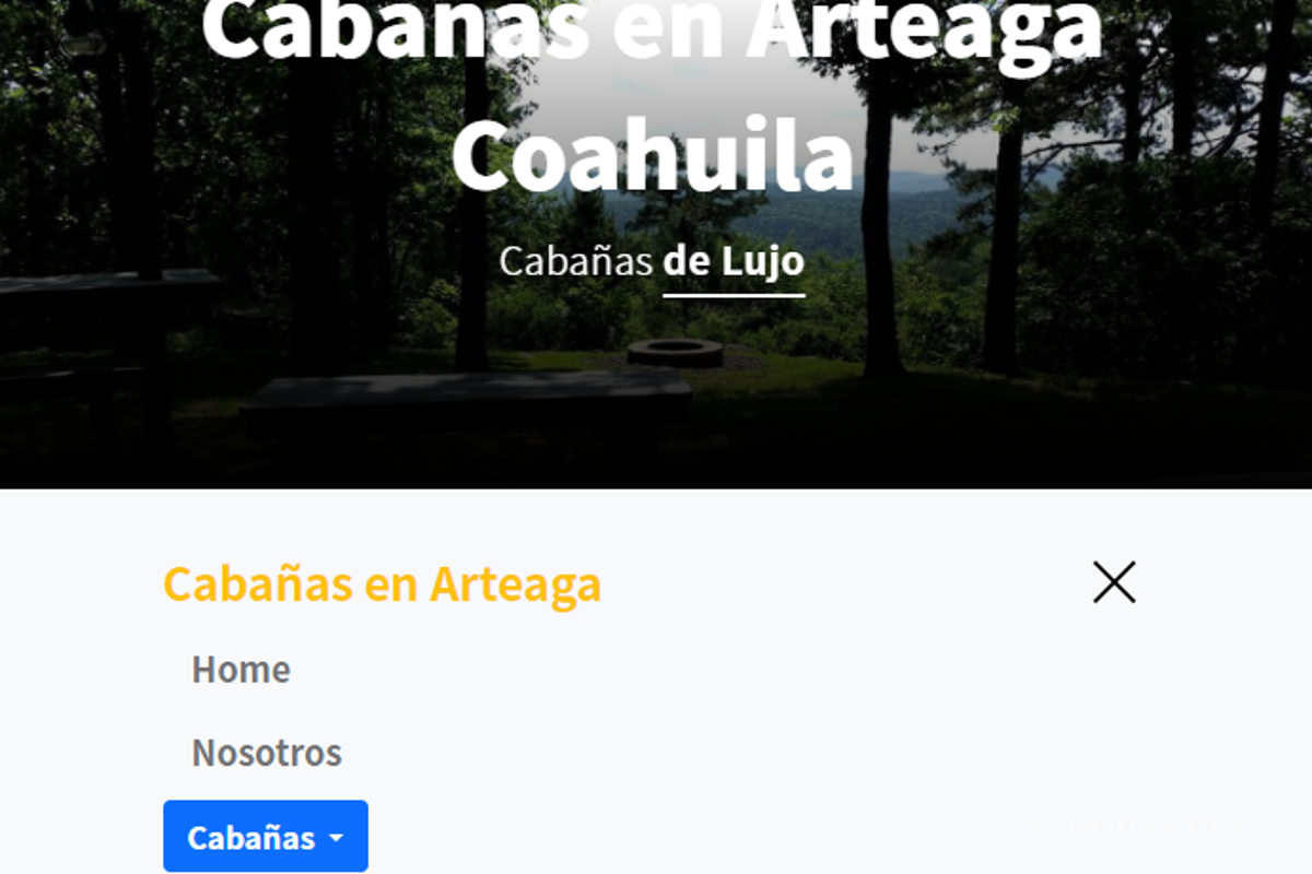$!El sitio Arteaga Bosque dispone de diversas ofertas, según su página principal.