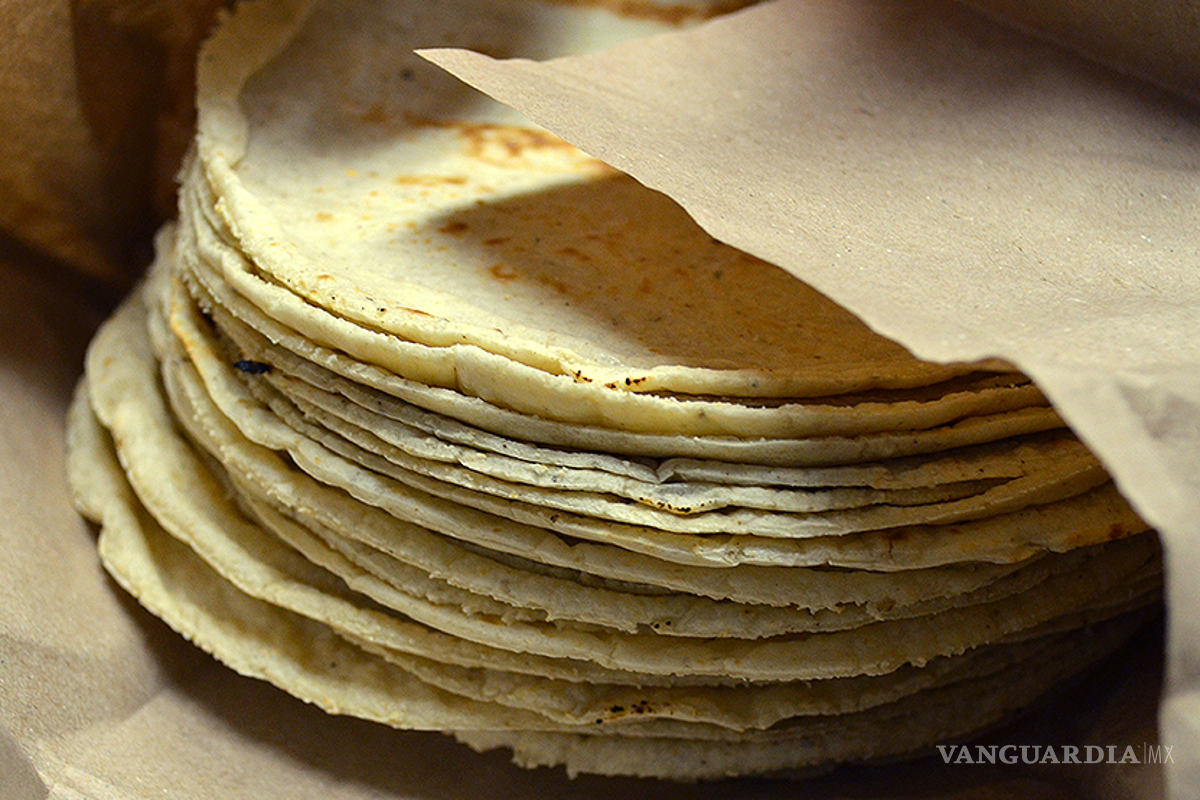 ¿‘Tortillazo’ a la vista?, sequía pegará al precio