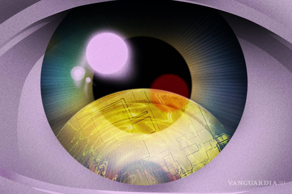 Los detectives de criptomonedas, limpian el sector ante la amenaza de las estafas