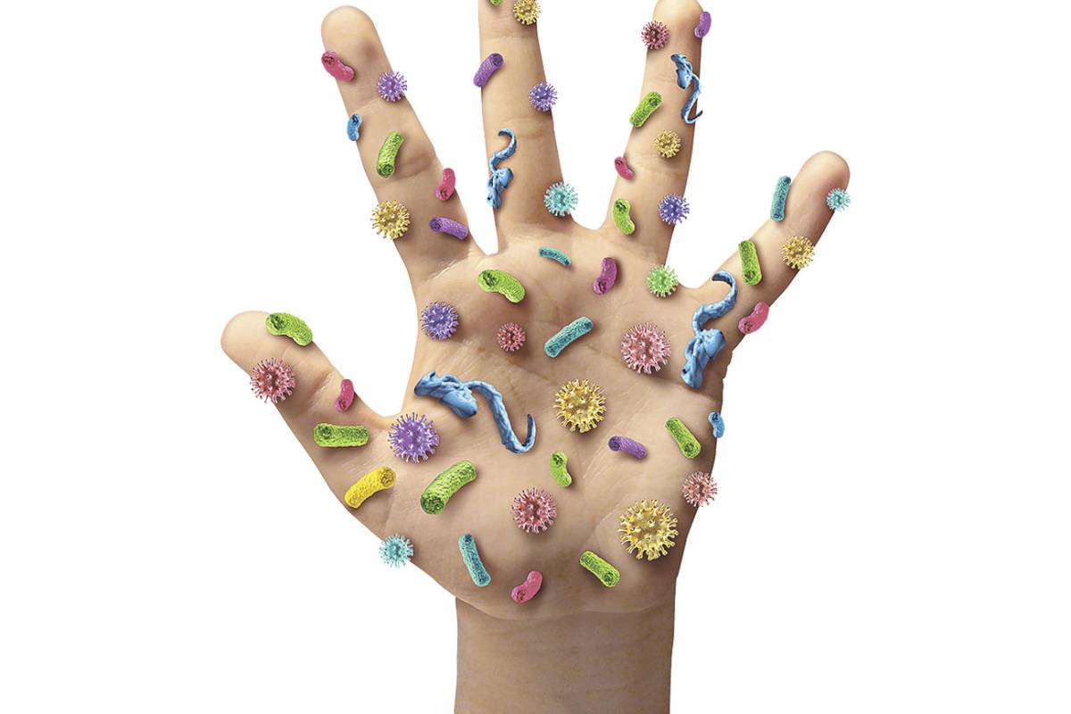 Victoria de las bacterias