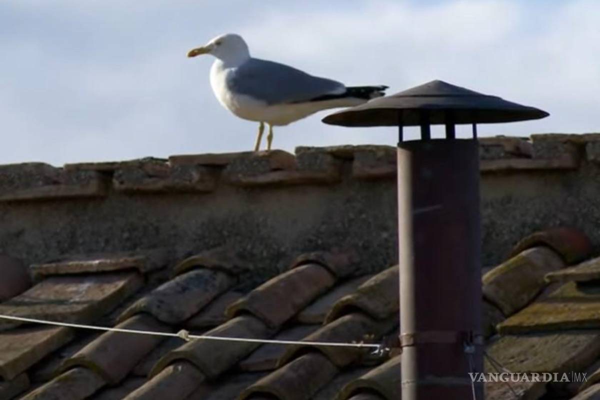 El cónclave genera millones de dólares en apuestas sobre el próximo Papa