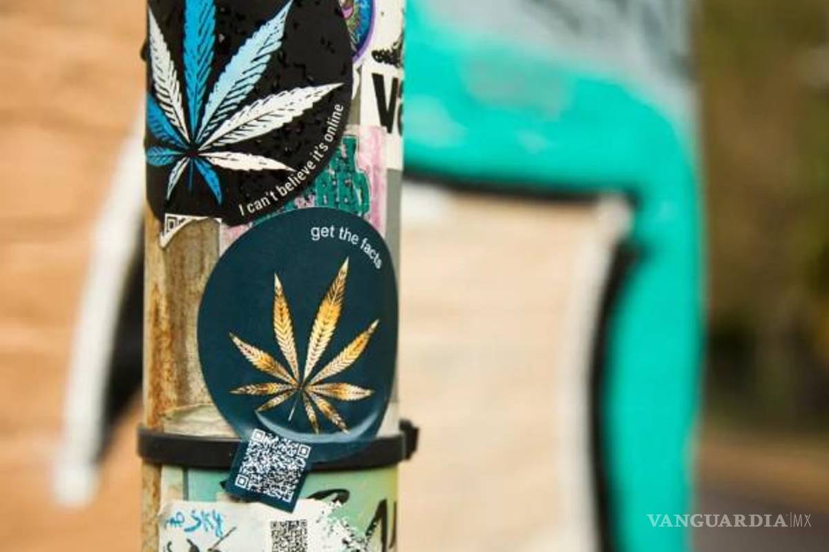 Encuentran cantidades ‘peligrosas’ de moho, plomo, E.coli y salmonela en mariguana callejera de Reino Unido