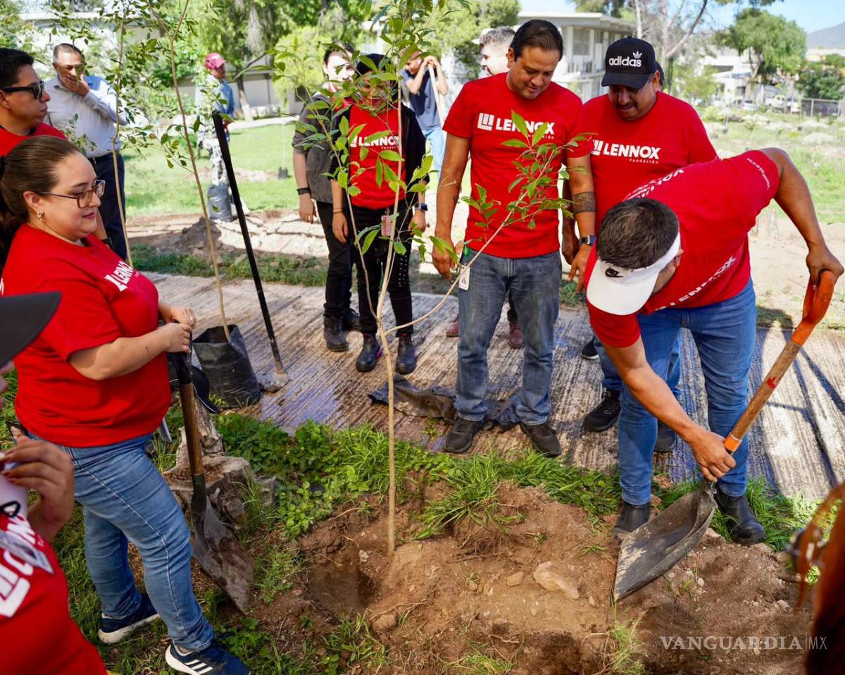 $!Lennox donó los ejemplares utilizados para ampliar las áreas verdes del plantel educativo ubicado en Ramos Arizpe.