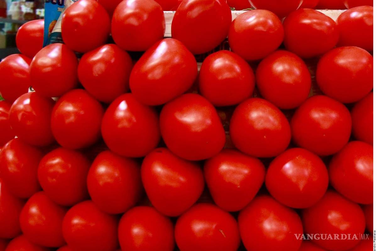 Aranceles de Trump reducirían exportaciones de tomate un 25%
