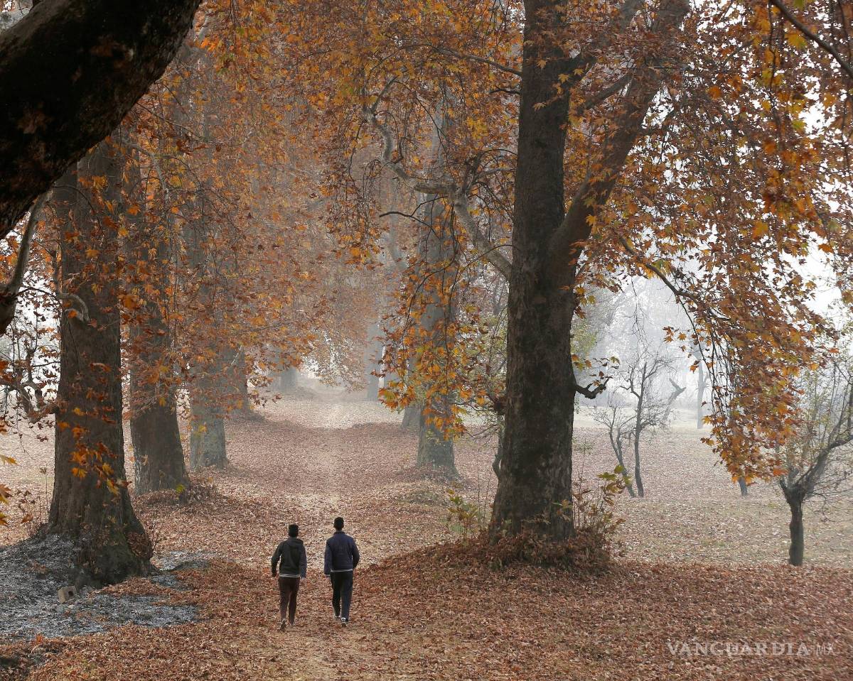 $!Los científicos indican que la variante descubierta del zinc, está relacionada con que las personas tengan predisposición a padecer enfermedades psiquiátricas.