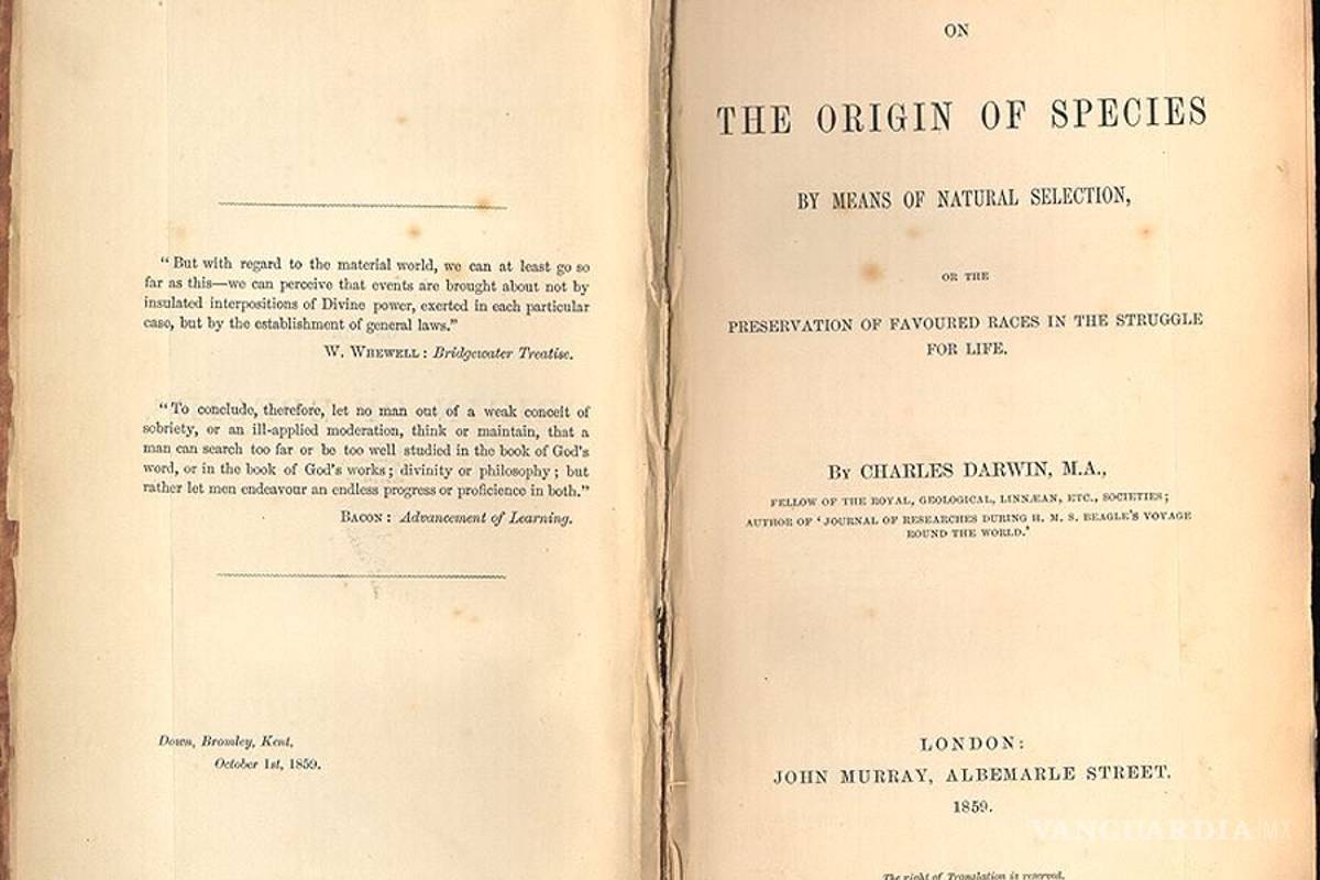 Subastarán &quot;El origen de las especies&quot; con anotaciones de Darwin