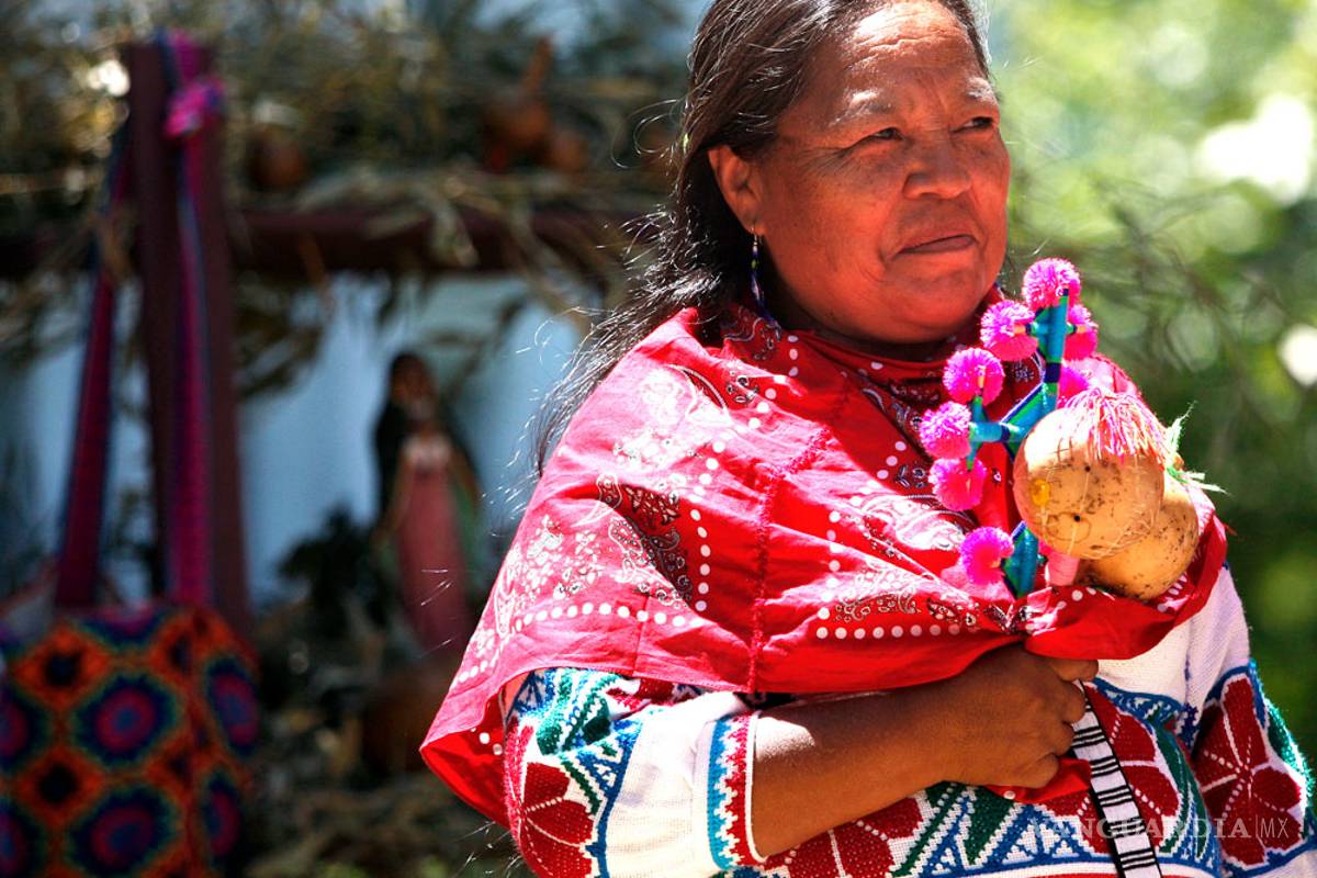 Comisión Indígena gasta más de mil 100 millones, pero no en los indígenas