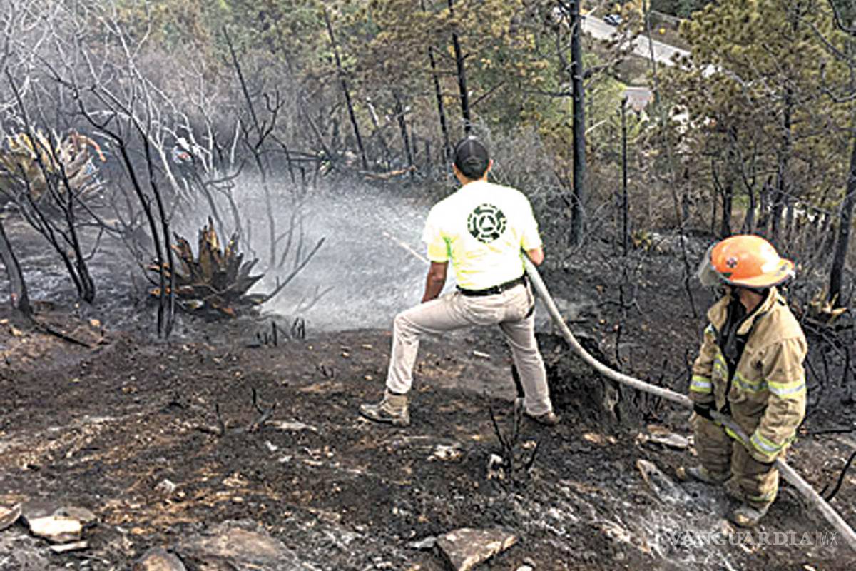 Fuego forestal casi llega a cabañas de la Sierra de Arteaga