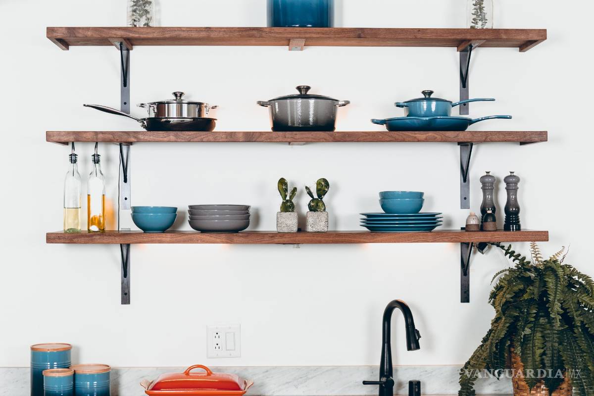 $!¡Duraderas y fáciles de cuidar! Las mejores plantas para decorar el baño, la cocina y hasta la recámara