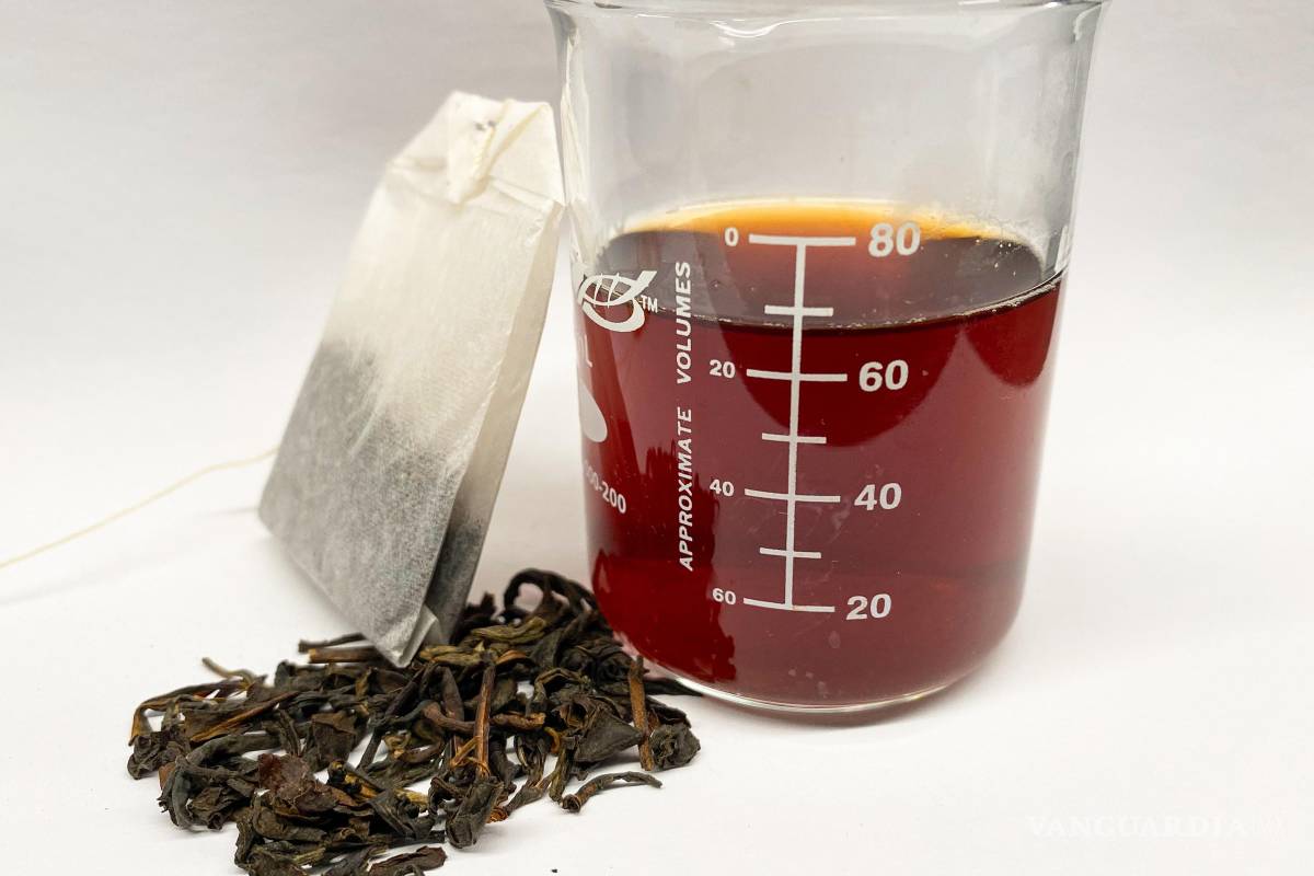 Las hojas de té pueden eliminar el plomo del agua, según un estudio