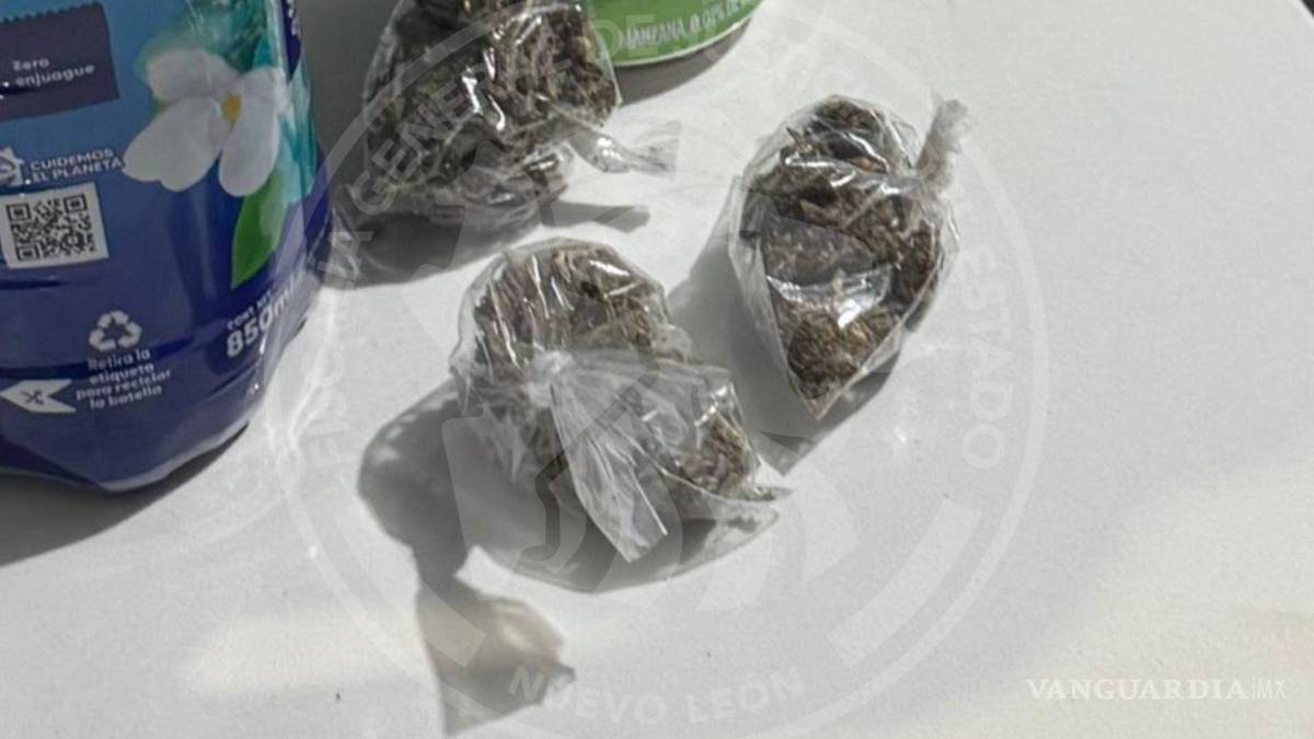 Nuevo León: en cateo a 10 viviendas de Monterrey y García, detienen a seis; aseguran armas y drogas