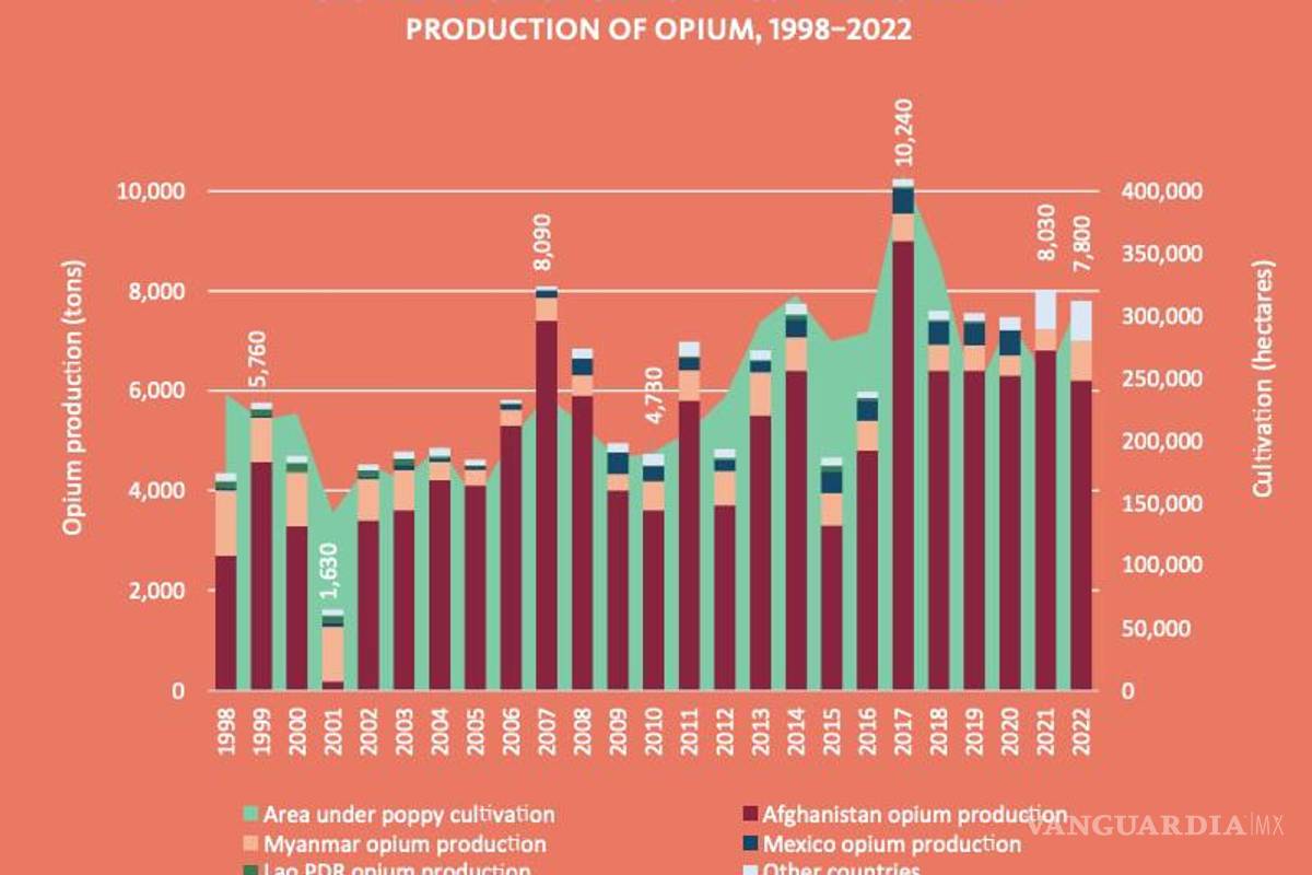 $!México es tercer lugar mundial en producción de opio