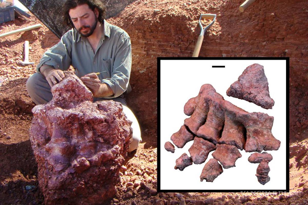 Descubren en Argentina uno de los mayores dinosaurios del mundo