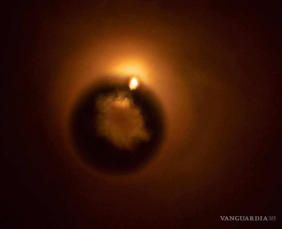 $!Lanzamiento del cohete SpaceX Falcon 9, con la prueba de redirección de doble asteroide, o DART en California. EFE/NASA/Bill Ingalls