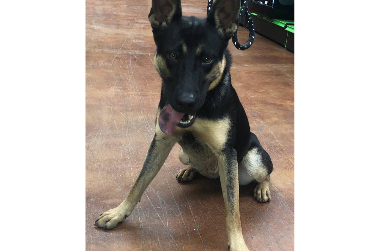 Ayudemos también a los callejeros del frío