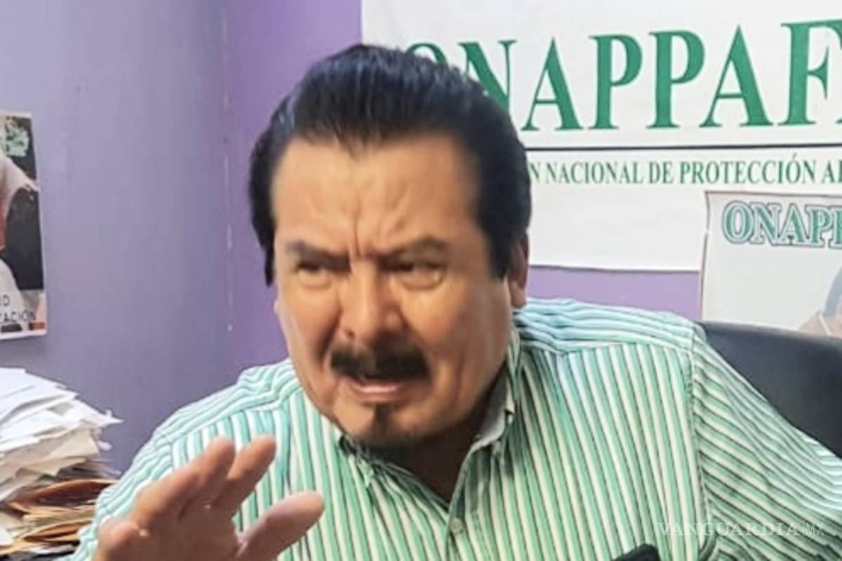 A fines de 2019 se podrían regularizar autos “chocolate”, dice líder de Onappafa