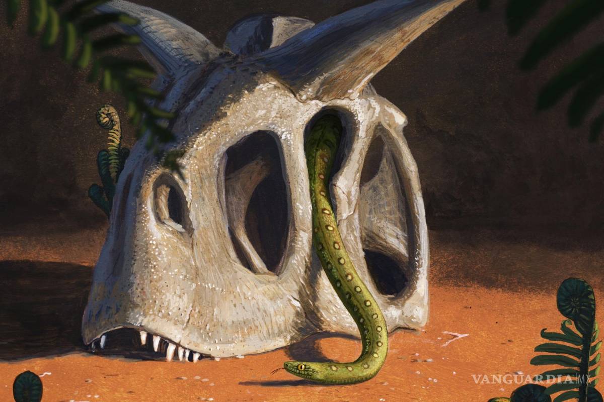 Asteroide que extinguió a los dinosaurios hace 66 millones de año dio vida a las serpientes