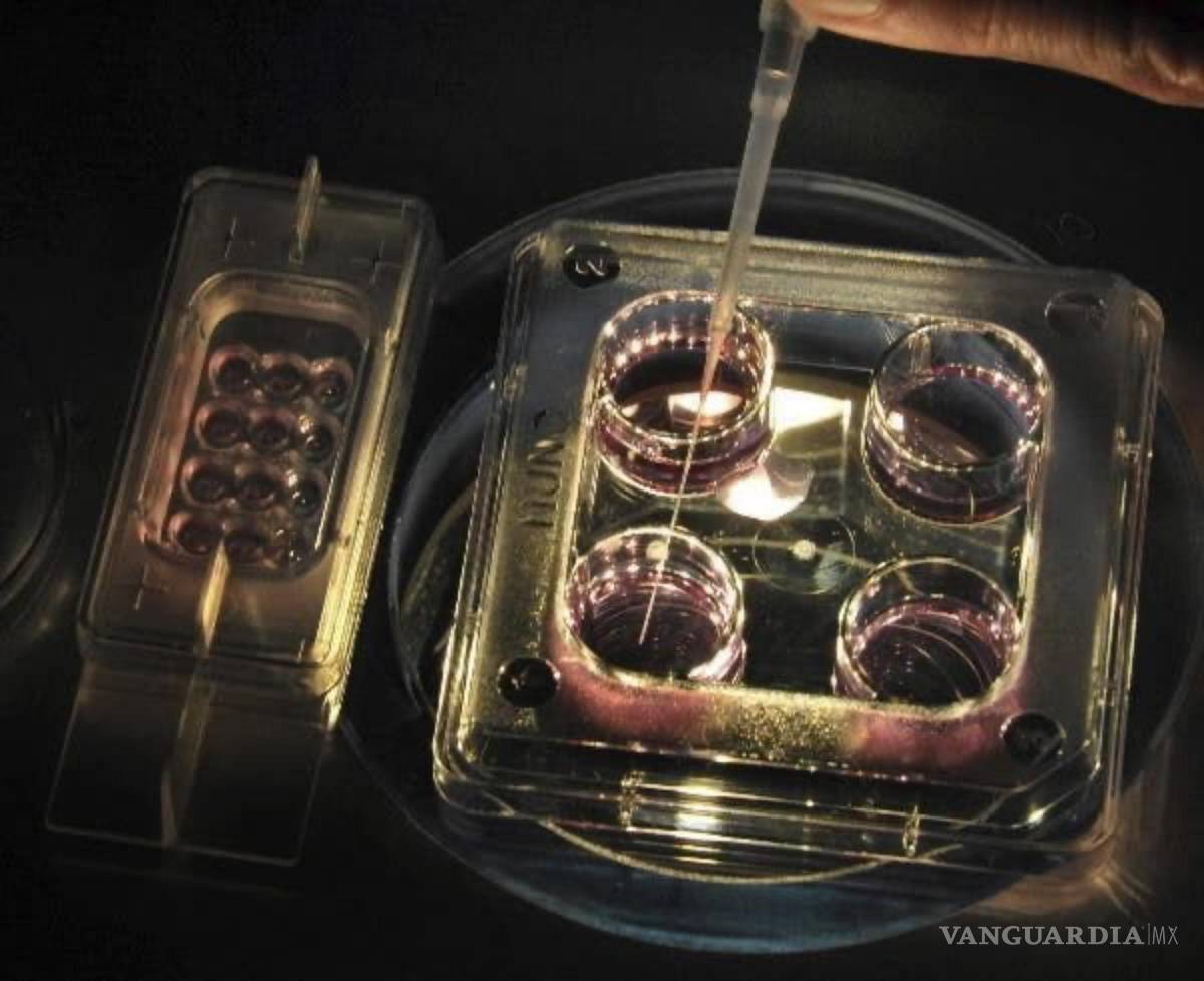 $!Nace el primer bebé del mundo con ADN de tres padres.