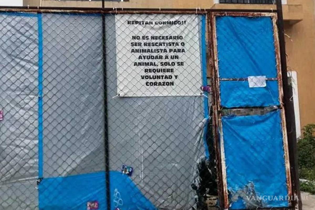 Encontraron 30 perros muertos en un ‘refugio’ de Cancún