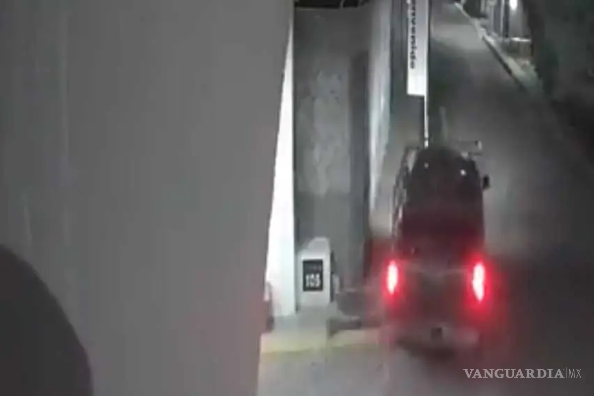 (video) Con alevosía, un conductor atropelló a perros en Puebla, uno murió; ya lo buscan