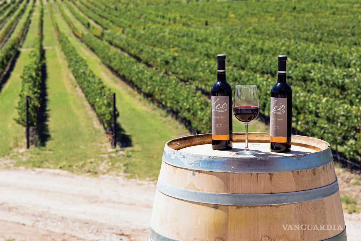 Premian calidad de vino Don Leo, de Coahuila