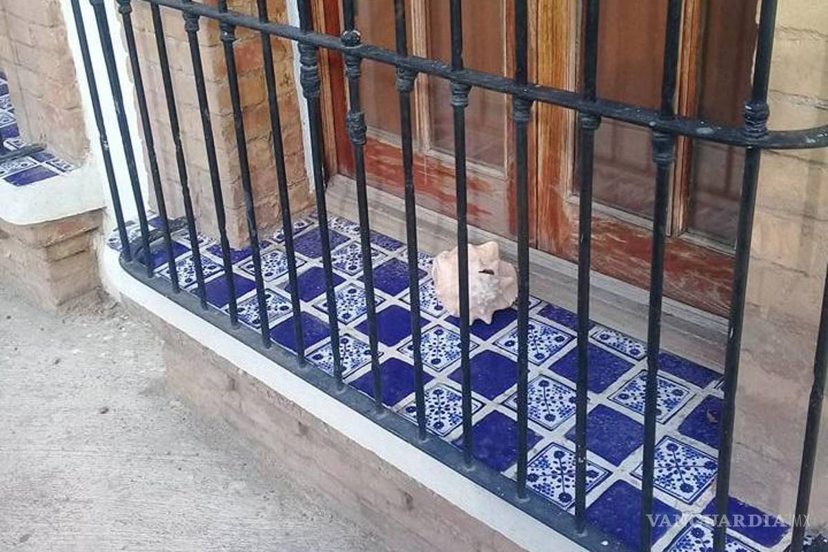 Saltillo: La emperatriz del catre