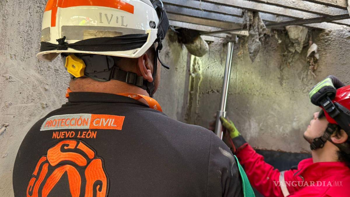 Liberan a caballo atrapado en reja de alcantarilla, en Monterrey