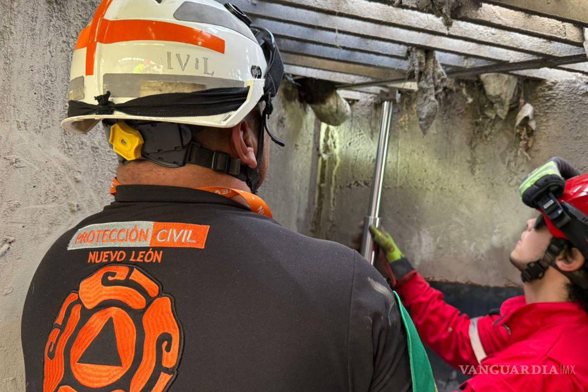 Liberan a caballo atrapado en reja de alcantarilla, en Monterrey