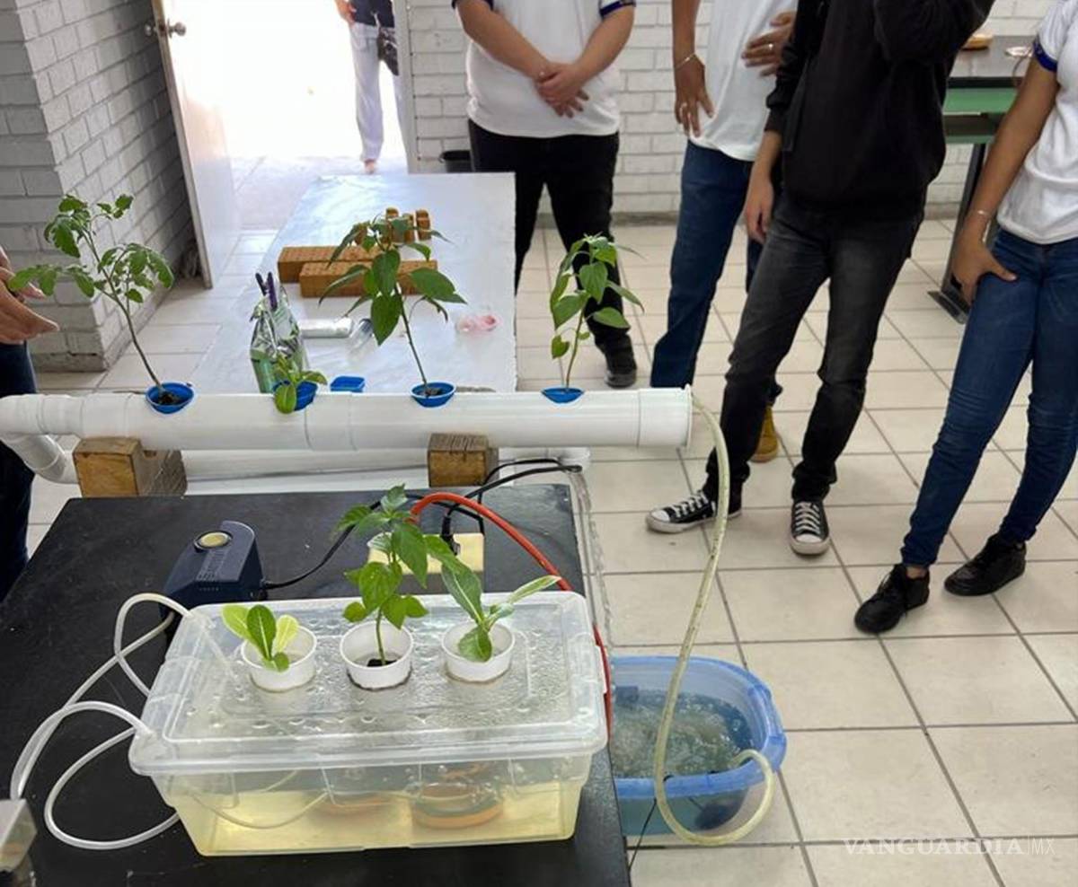 $!Niños y jóvenes comprenden los procesos del planeta cuando los conocen a través de la ciencia.