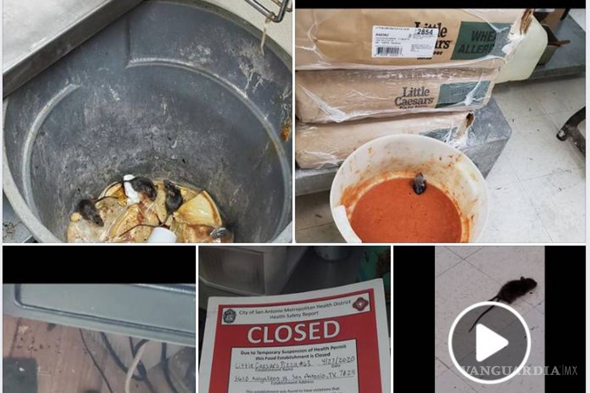 ¿Eres tú, Chefcito? Empleados de famosa pizzería exhiben fotos de ratas en la comida