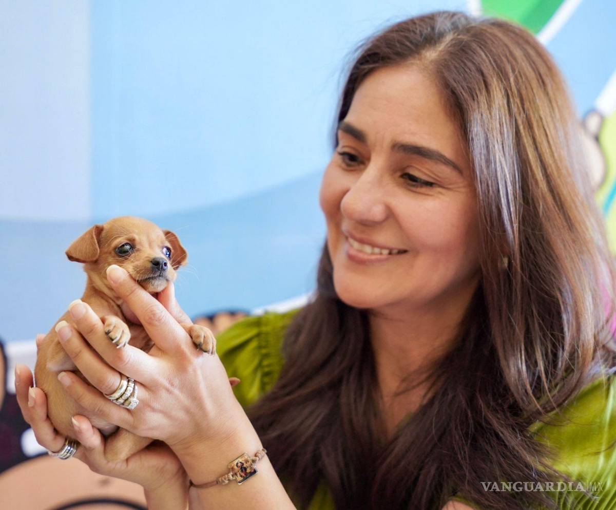 $!Se han realizado 592 esterilizaciones gratuitas, 756 vacunas antirrábicas y 500 desparasitaciones.