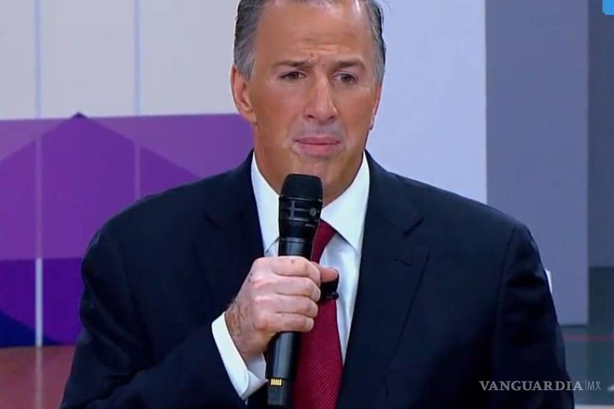 Peña Nieto no se equivocó en invitar a Trump: Meade