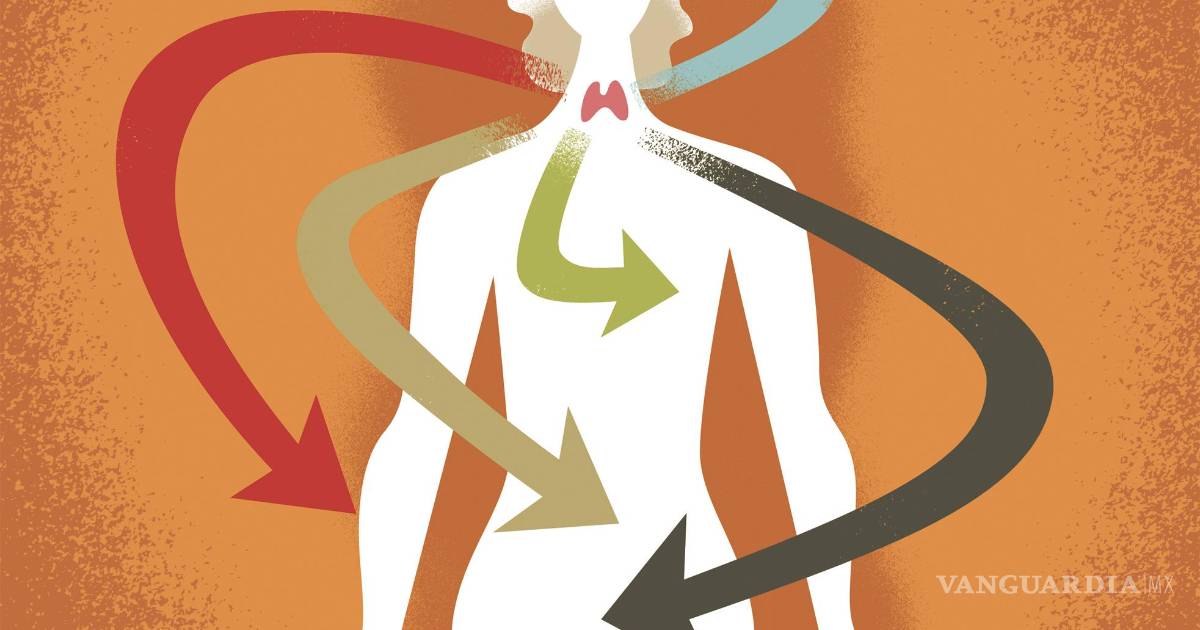 Tiroides en silencio: síntomas que muchos pasan por alto