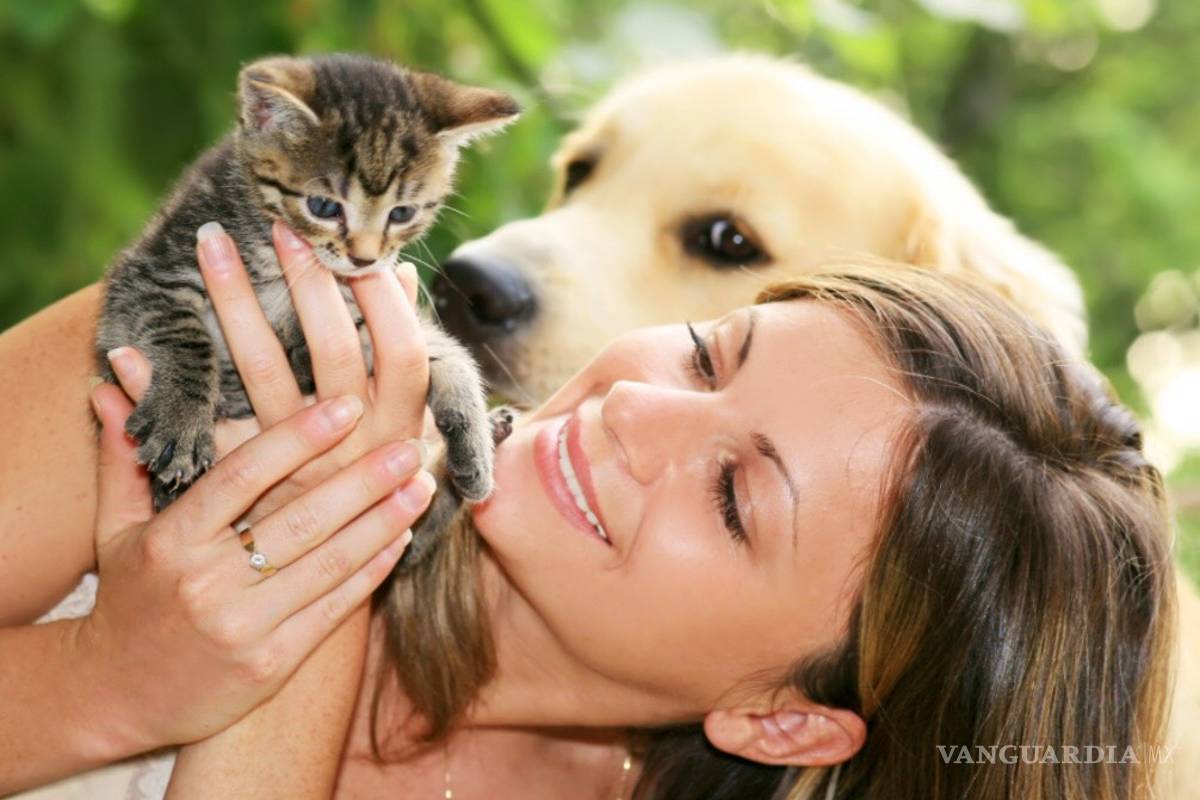 El mejor “san Valentín” tiene bigotes y cuatro patas