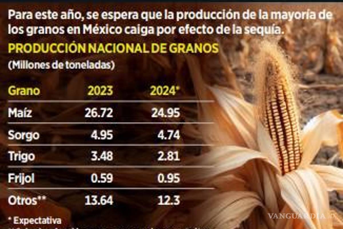 $!Causa sequía pérdidas de 6 mil pesos por hectárea en el campo mexicano