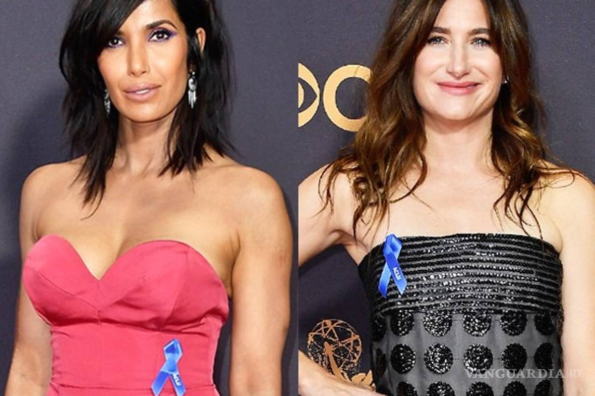 $!Emmy 2017: ¿Qué significa el lazo azul usado por las celebridades?