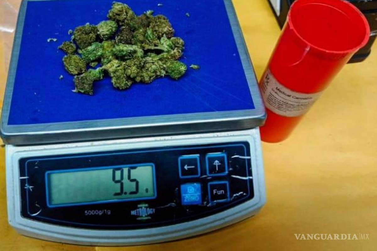 Cateos en Nuevo León por delitos contra la salud arrojan cuatro detenidos