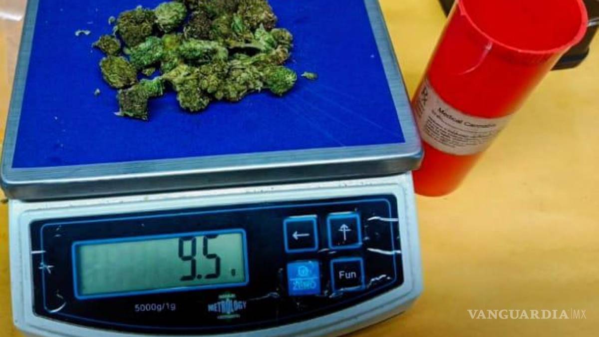 Cateos en Nuevo León por delitos contra la salud arrojan cuatro detenidos