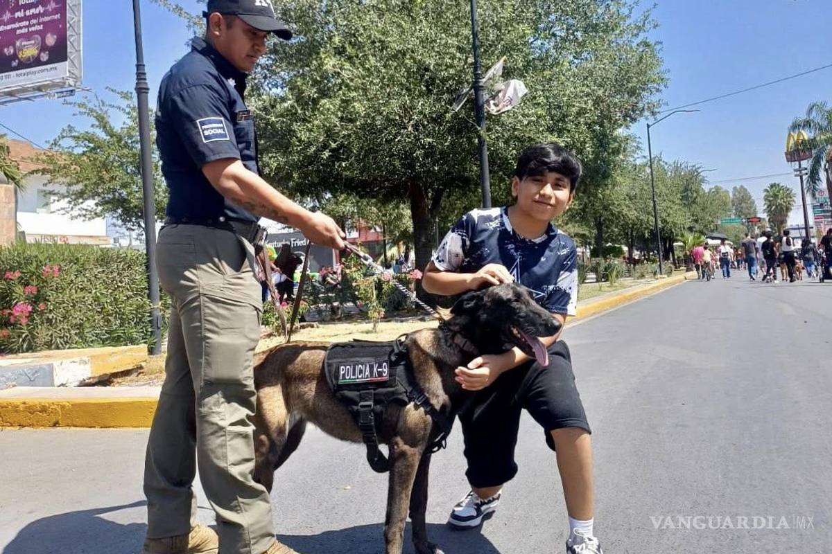 $!La Unidad Canina suma aseguramientos relevantes en la lucha contra el tráfico de drogas.