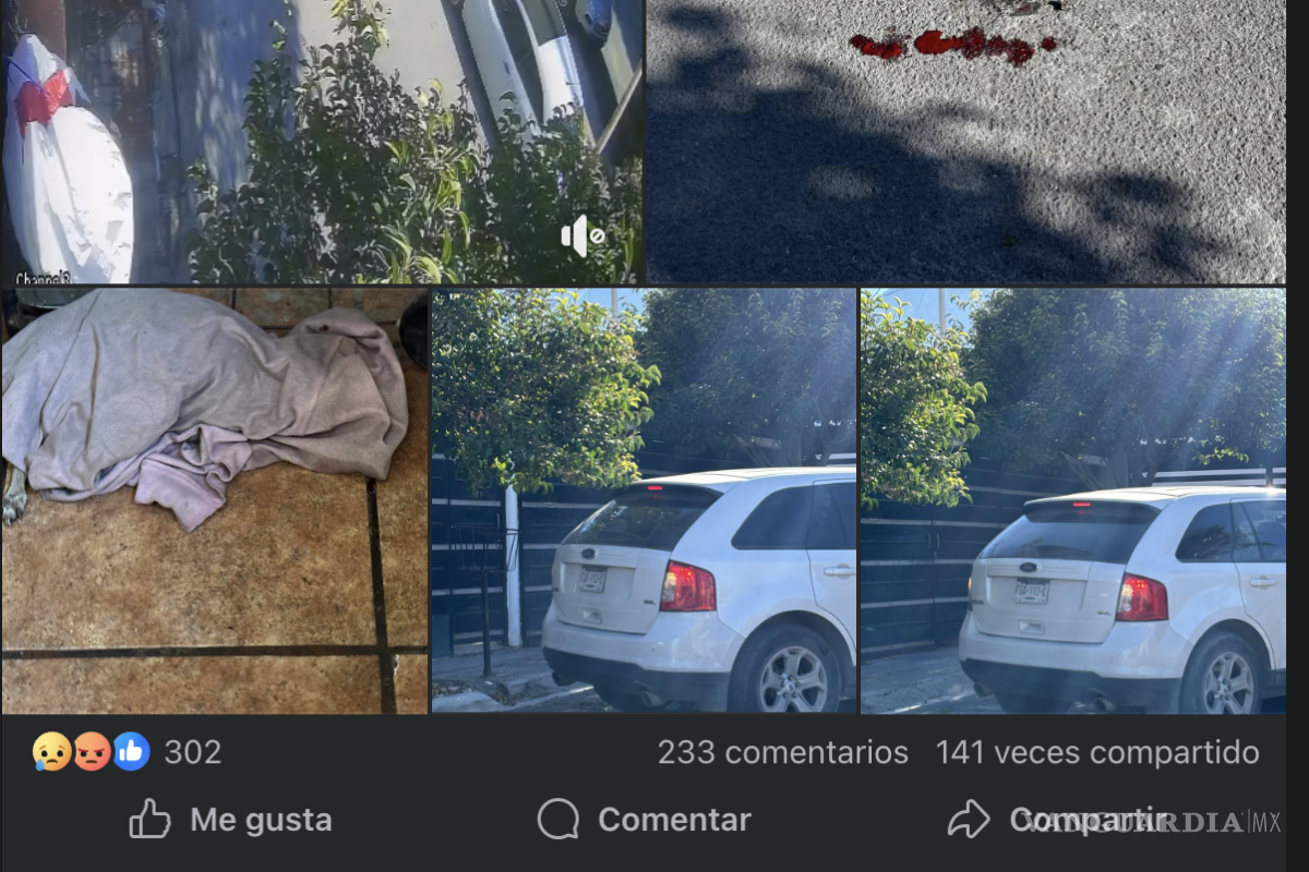 $!Usuarios de redes sociales confrontaron posturas sobre el caso ocurrido en Saltillo, mientras algunos exigieron sanciones para el conductor, otros señalaron la obligación de los dueños de mantener a sus mascotas bajo supervisión.