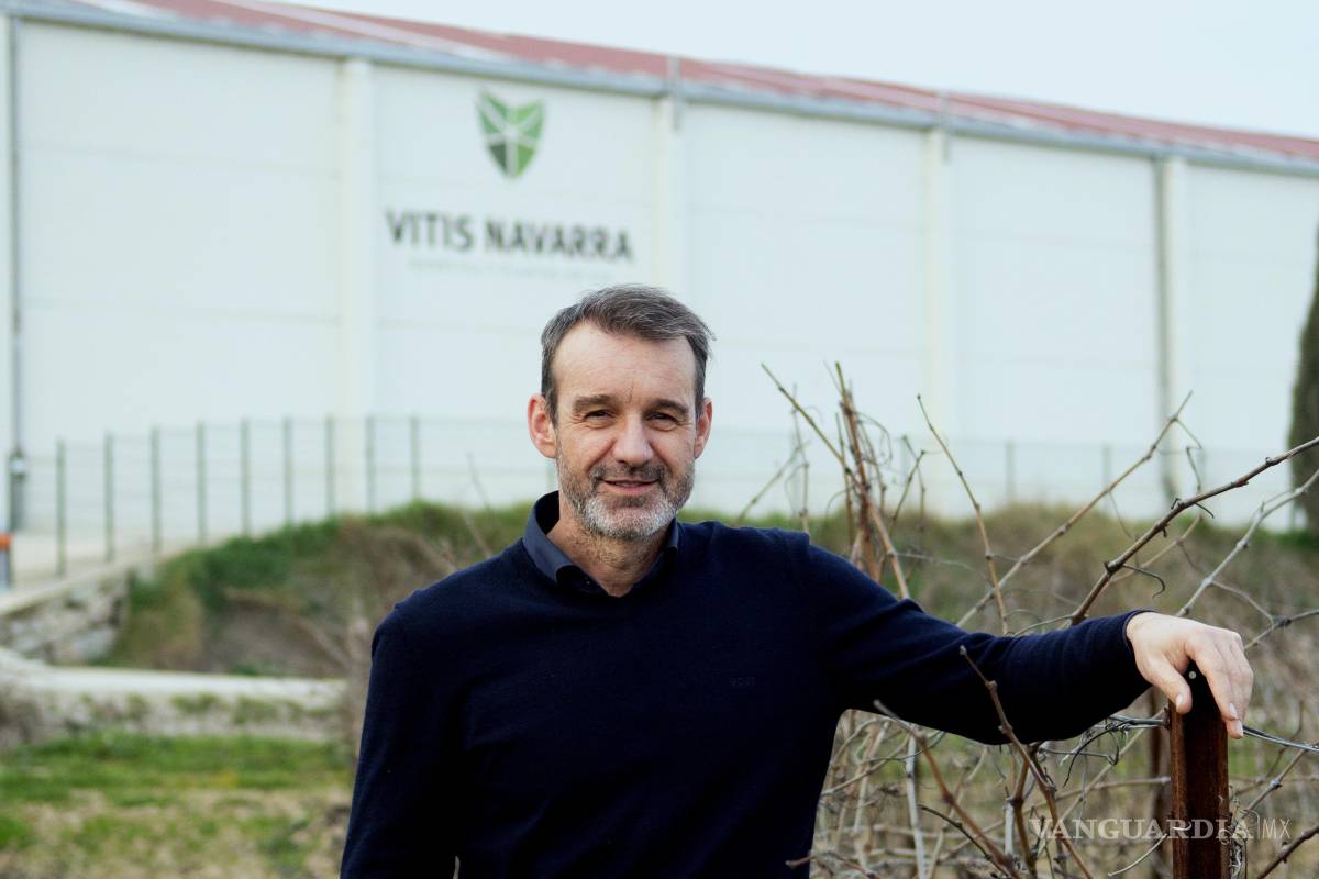 $!El viticultor navarro Rafa García, responsable y cuarta generación de la saga de Vitis Navarra. Dominio D’Echauz trabaja en el proyecto de recuperación Basajaun.