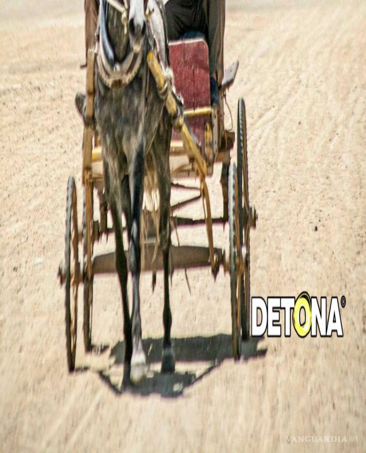 $!A lo mejor no es mula, pero al pobre caballo lo traen como si lo fuera.