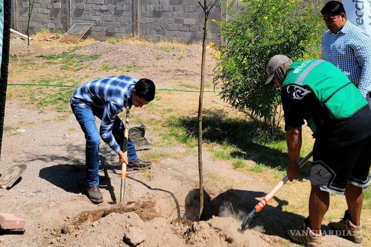 $!Jóvenes y voluntarios colaboran en la siembra de nuevos árboles urbanos.
