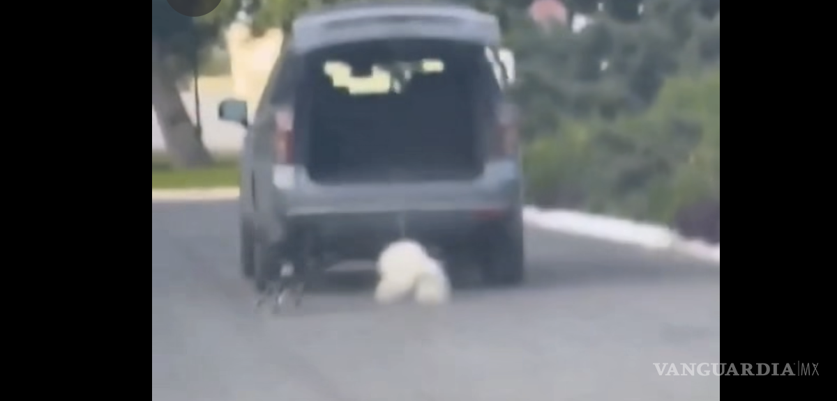 Rescatan a perrito arrastrado por camioneta en Saltillo; investigan posible maltrato animal